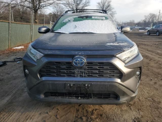 2019 Toyota Rav4 XLE