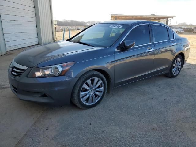 2011 Honda Accord EXL