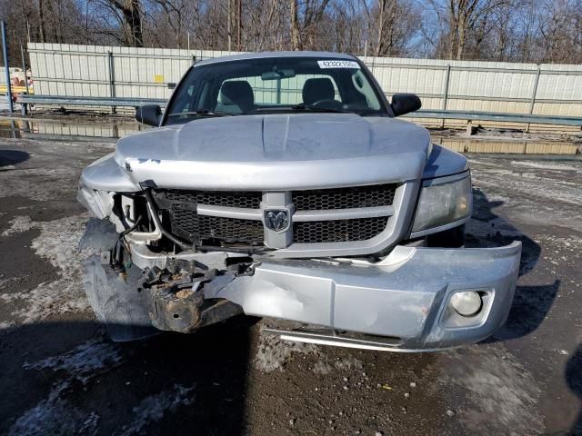 2011 Dodge Dakota SLT