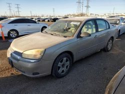 Salvage cars for sale at Elgin, IL auction: 2004 Chevrolet Malibu LT