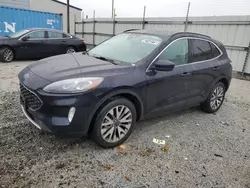 Clean Title Cars for sale at auction: 2021 Ford Escape Titanium