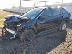 Salvage cars for sale at Houston, TX auction: 2020 Toyota Rav4 LE