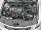 2009 Honda Accord LXP