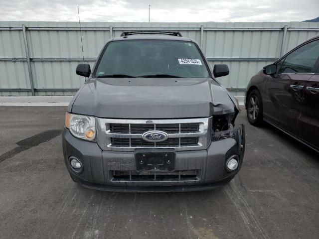 2012 Ford Escape XLT