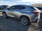 2024 Lexus NX 350H Base