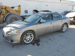 Salvage cars for sale at Farr West, UT auction: 2009 Nissan Maxima S