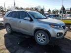 2012 KIA Sorento Base