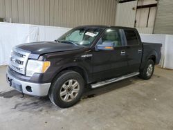 2013 Ford F150 Supercrew en venta en Lufkin, TX