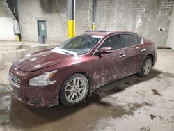 Salvage cars for sale at Chalfont, PA auction: 2010 Nissan Maxima S