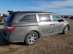 2011 Honda Odyssey EXL