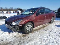 Salvage cars for sale from Copart Hillsborough, NJ: 2010 Nissan Altima Base