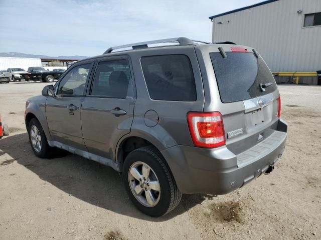 2010 Ford Escape Limited