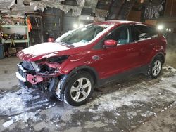 Salvage cars for sale from Copart Albany, NY: 2015 Ford Escape SE