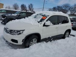 Salvage cars for sale at Moraine, OH auction: 2013 Volkswagen Tiguan S