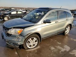 Salvage cars for sale at Grand Prairie, TX auction: 2010 Honda CR-V EXL