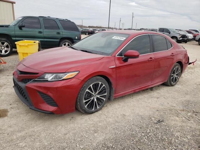 2019 Toyota Camry Hybrid