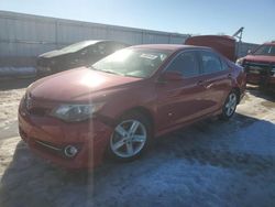 Salvage Cars with No Bids Yet For Sale at auction: 2014 Toyota Camry L