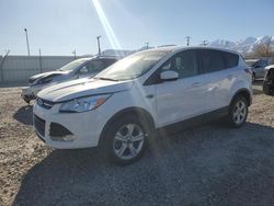 2014 Ford Escape SE en venta en Magna, UT