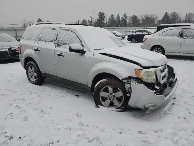 2009 Ford Escape XLT