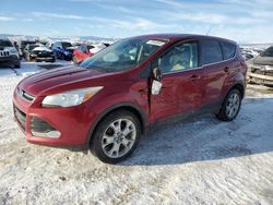 2013 Ford Escape SEL en venta en Helena, MT