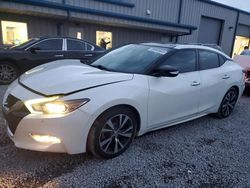 Salvage cars for sale at Earlington, KY auction: 2016 Nissan Maxima 3.5S