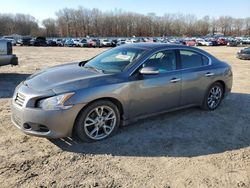 Salvage cars for sale at Conway, AR auction: 2014 Nissan Maxima S