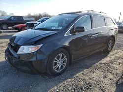 Honda Odyssey exl salvage cars for sale: 2013 Honda Odyssey EXL