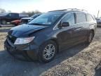 2013 Honda Odyssey EXL