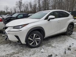 Carros salvage a la venta en subasta: 2019 Lexus NX 300 Base