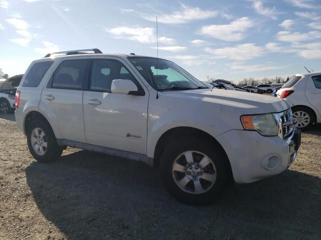 2009 Ford Escape Hybrid