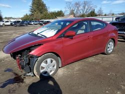 Hyundai salvage cars for sale: 2016 Hyundai Elantra SE