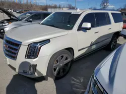 Salvage cars for sale at Bridgeton, MO auction: 2015 Cadillac Escalade ESV Premium