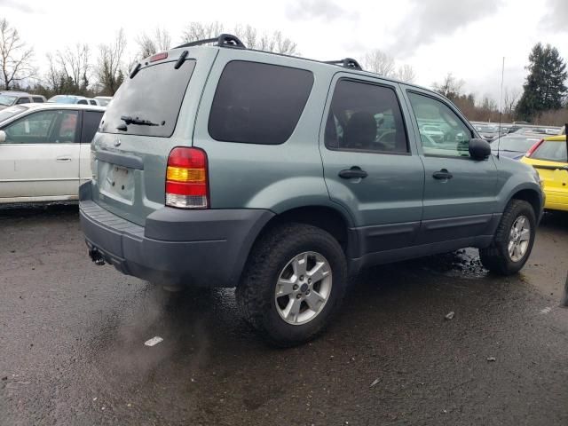 2005 Ford Escape XLT