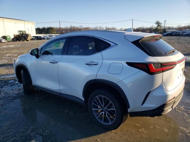 2022 Lexus NX 350