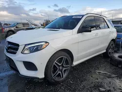 Salvage cars for sale from Copart Eugene, OR: 2016 Mercedes-Benz GLE 350 4matic