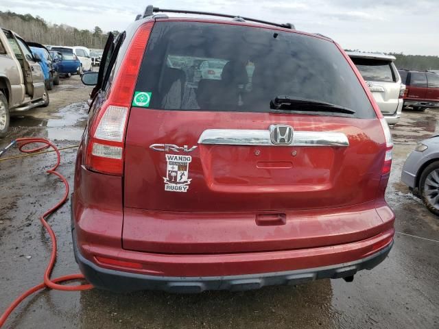 2010 Honda CR-V EXL