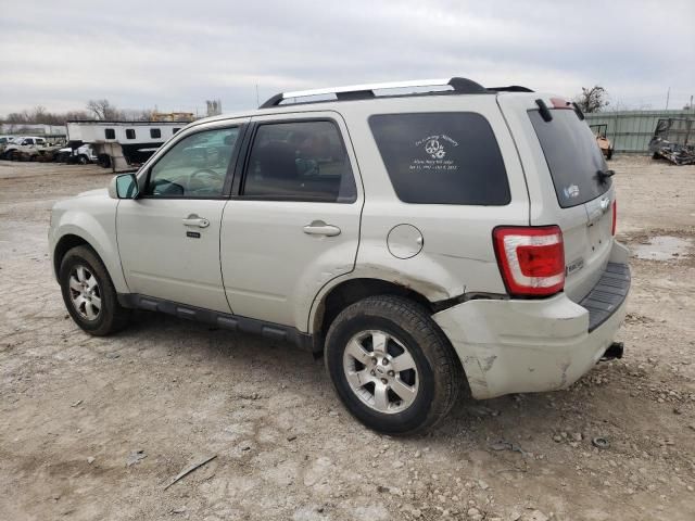 2009 Ford Escape Limited