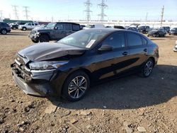 Salvage cars for sale at Elgin, IL auction: 2023 KIA Forte LX