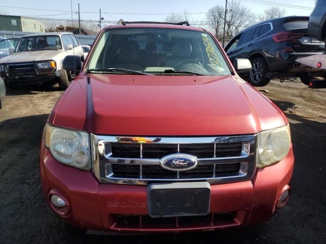 2008 Ford Escape XLT