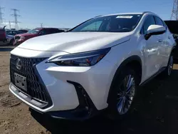 Salvage cars for sale from Copart Elgin, IL: 2022 Lexus NX 350H