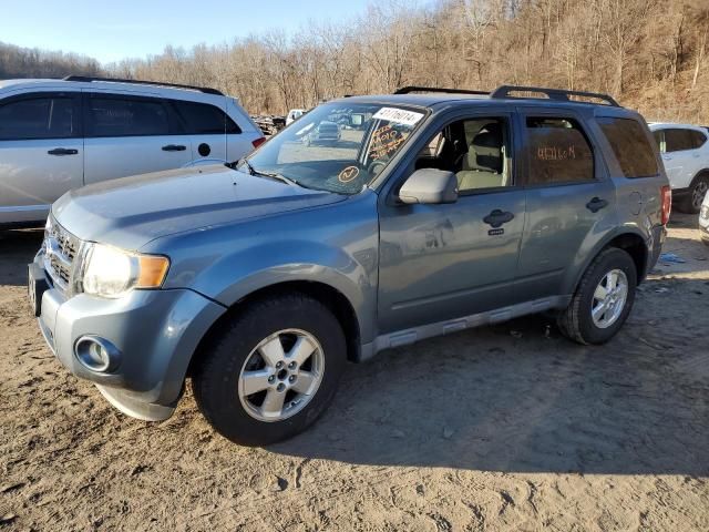 2010 Ford Escape XLT