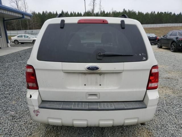 2010 Ford Escape XLT