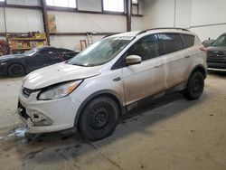 Ford Escape SE salvage cars for sale: 2014 Ford Escape SE