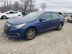 Salvage cars for sale from Copart Cicero, IN: 2016 Hyundai Sonata SE