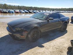 Ford salvage cars for sale: 2013 Ford Mustang