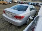 2005 Lexus ES 330