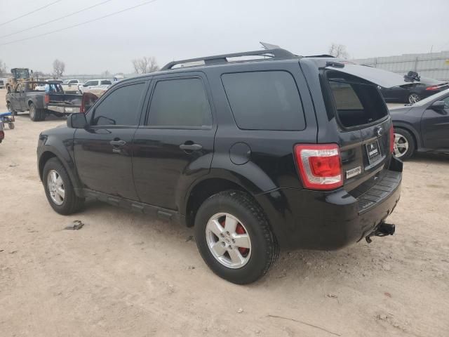 2010 Ford Escape XLT