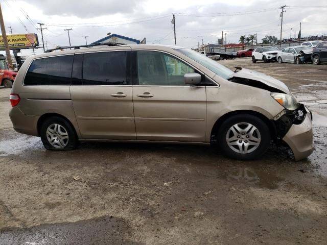 2005 Honda Odyssey EX