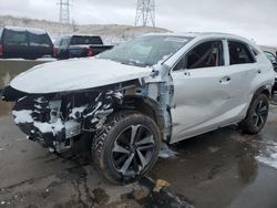 2018 Lexus NX 300 Base for sale in Littleton, CO