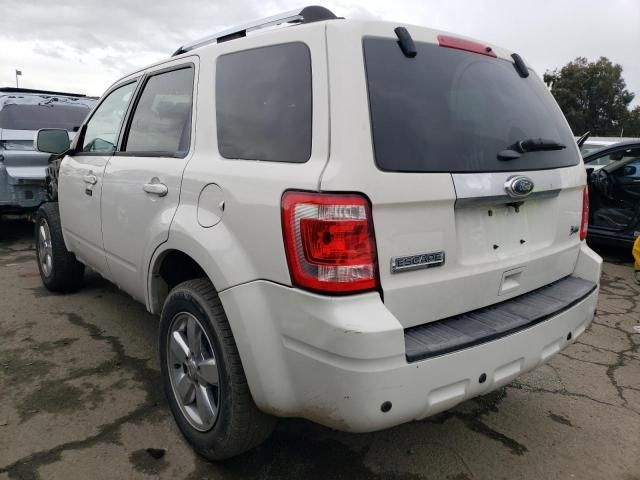 2011 Ford Escape Limited